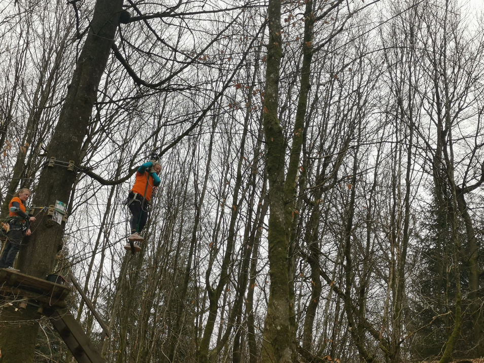 accrobranche bertrix ardenne activité famille entreprise groupes