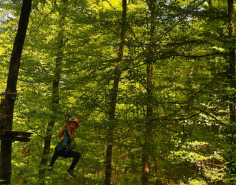 journée scolaire accrobranche pour écoles ardenne belgique bertrix