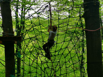 accrobranche bertrix ardenne activité famille entreprise groupes