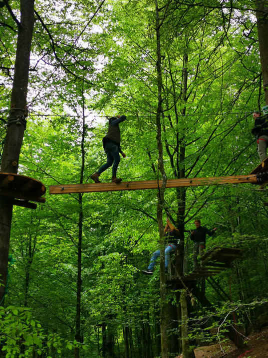 accrobranche bertrix ardenne activité famille entreprise groupes