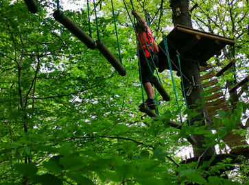 accrobranche bertrix ardenne activité famille entreprise groupes