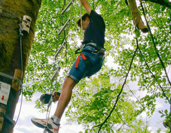 accrobranche bertrix ardenne activité famille entreprise groupes
