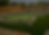 Website Photos (6).png