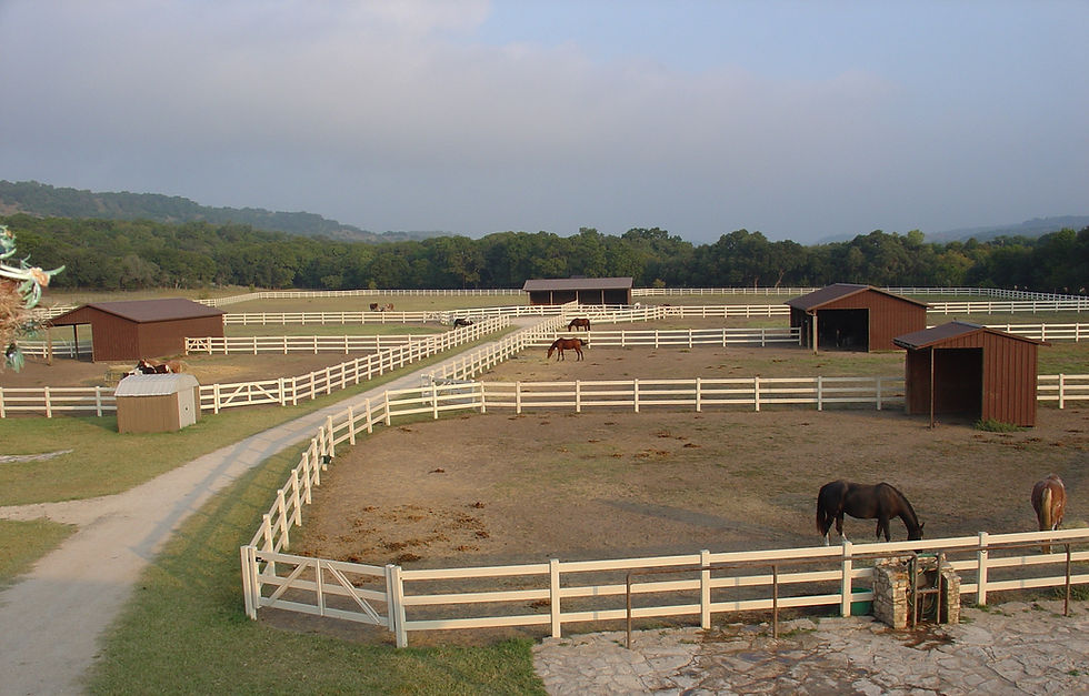 Paddock 1.jpg