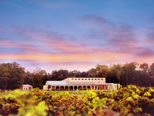 Off the Beaten Path: Discovering Wine in Northeast Texas