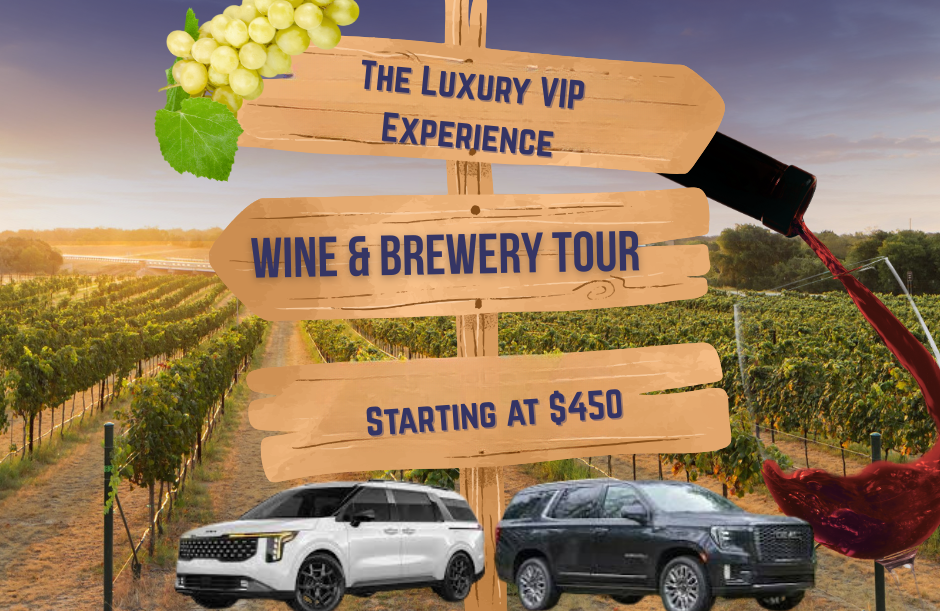 The Luxury VIP Experienc.png