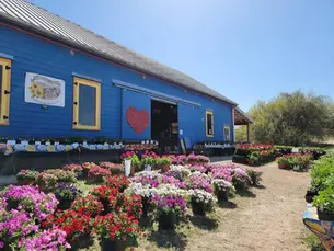 Arnosky Farms Wimberley Texas