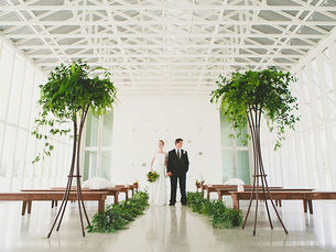 Hill Country Wedding Bliss: Your Ultimate Guide to Dripping Springs