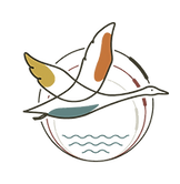 Find Your Goose Logo Linear Color_edited