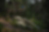 BCBRide_2017_16.jpg