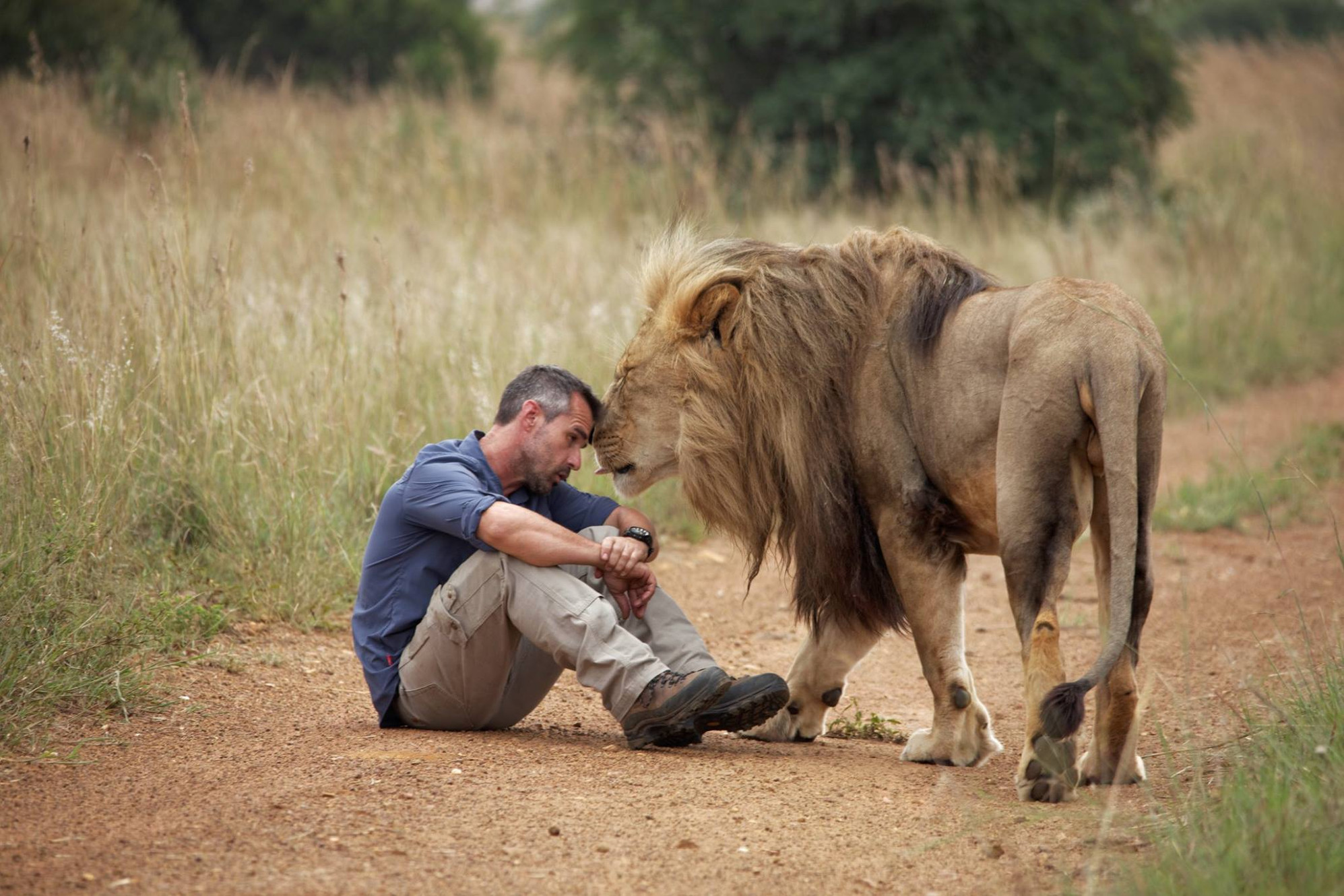 (Ep. 1/4) Who is the 'Lion Whisperer'? Getting to know Kevin Richardso (Ep. 1/4) Who is the 'Lion Whisperer'? Getting to know Kevin Richardso