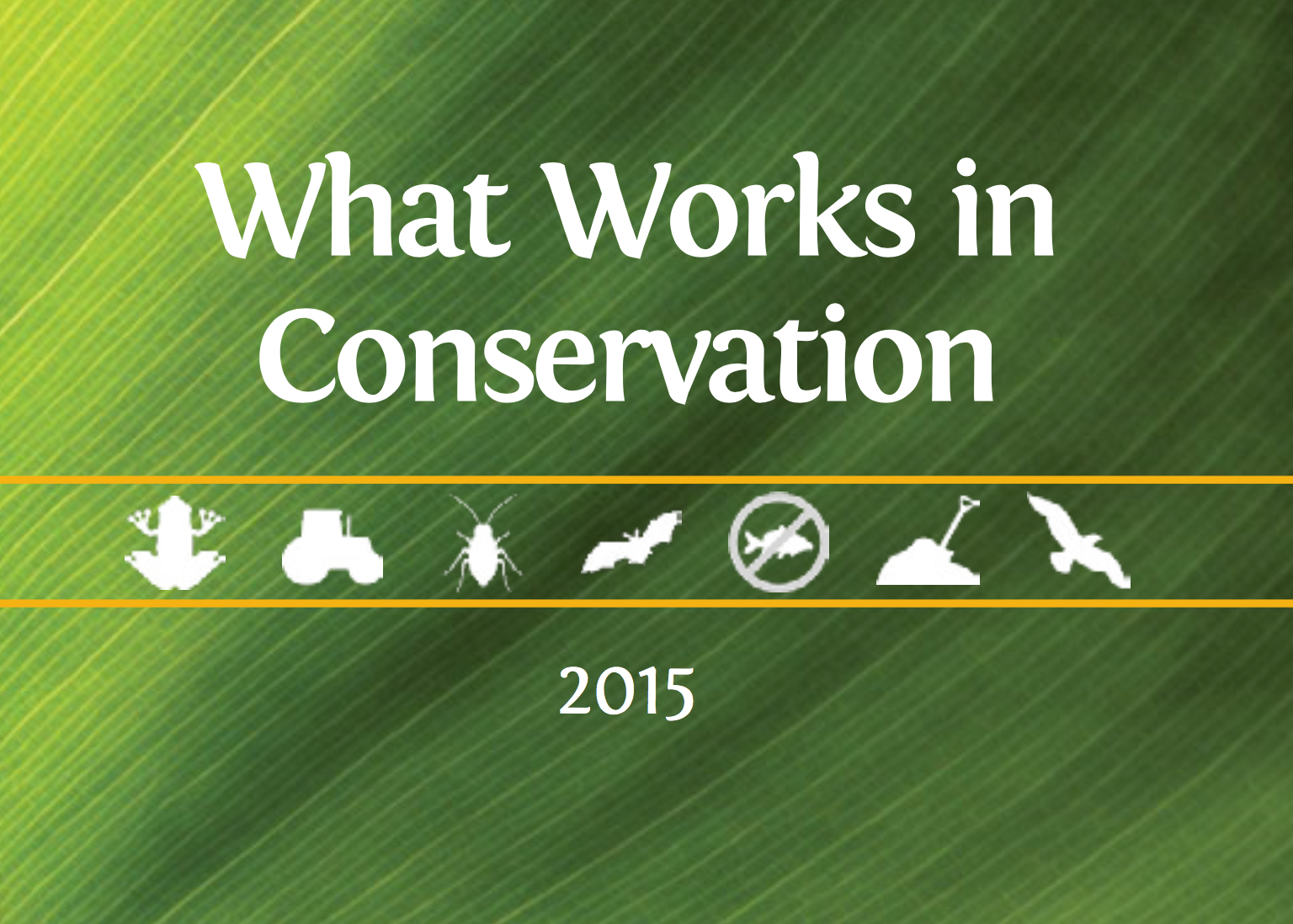 What Works in Conservation?