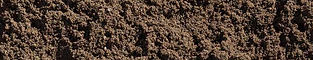 SANDY LOAM.jpg