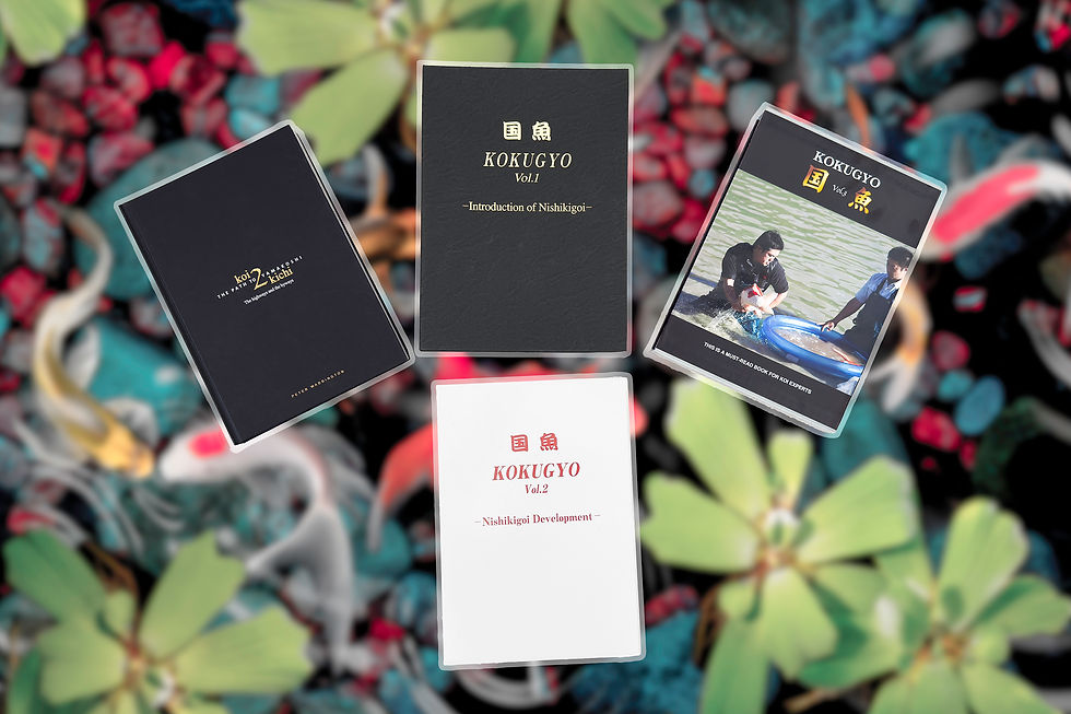 Illustration of koi books, Koi2Kichi, and Kokuyu Volumes 1-3