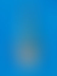 Asagi Nishikigoi illustration