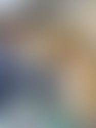 Boxed koi are loaded onto a lorry for shipping