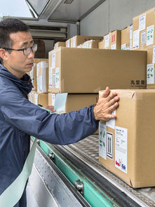 Boxed koi are loaded onto a lorry for shipping