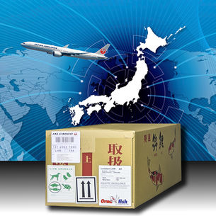 Global Exports of Koi from Japan 