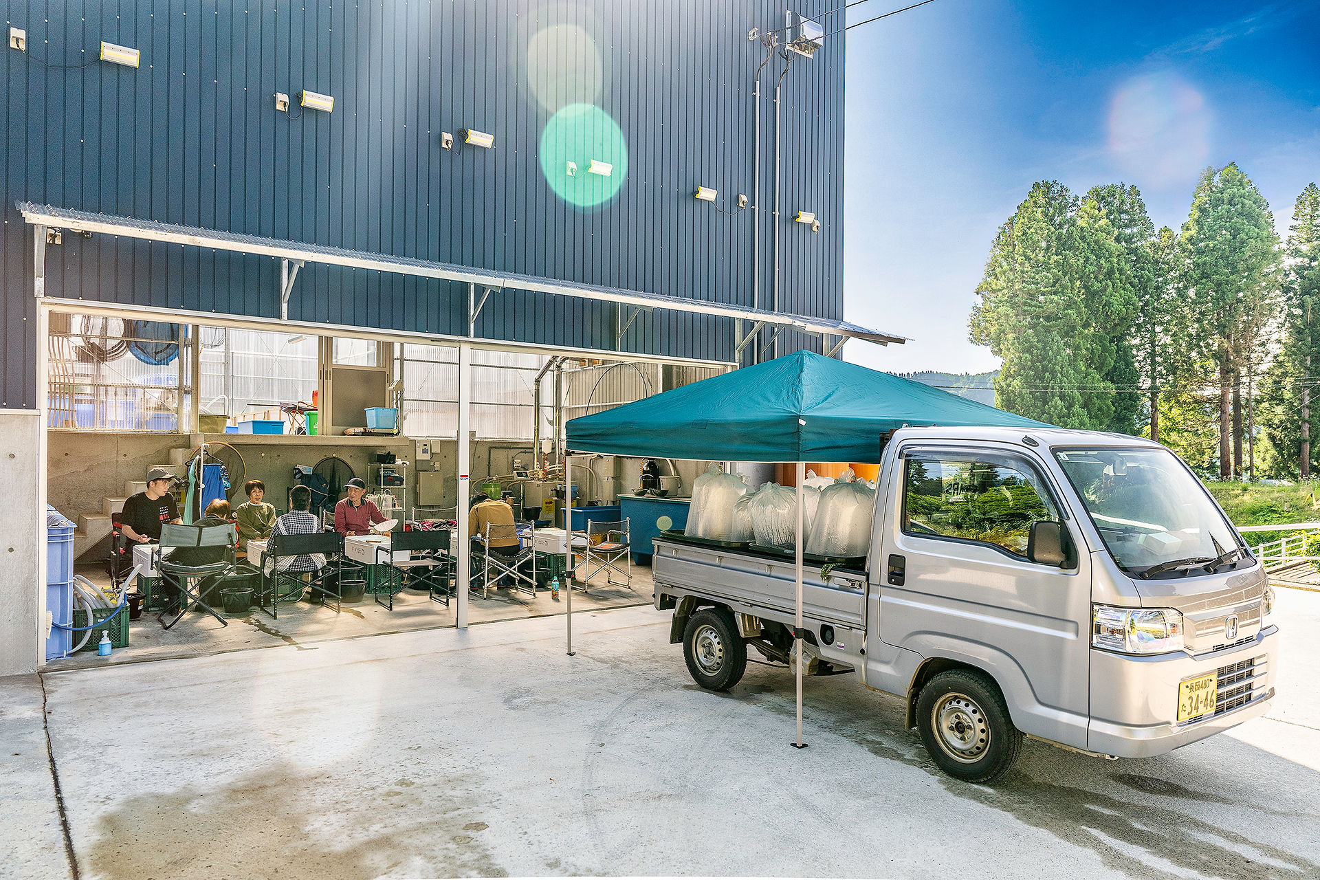 Marushin Koi farm fry sorting area