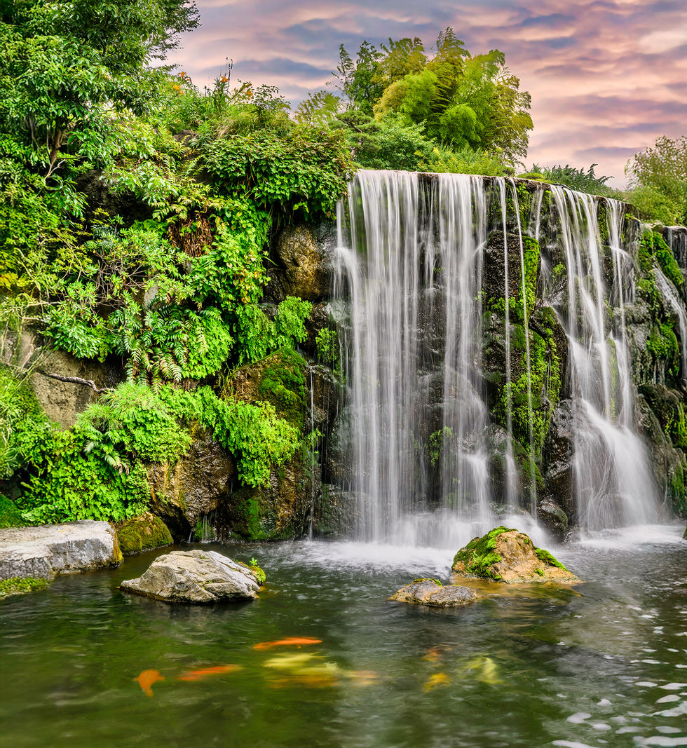 The Japanese Garden at the New Otani Hotel, Tokyo is one of the best in the city with Koi.