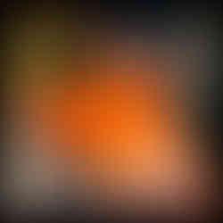 Yuri Koi Farm Website Link