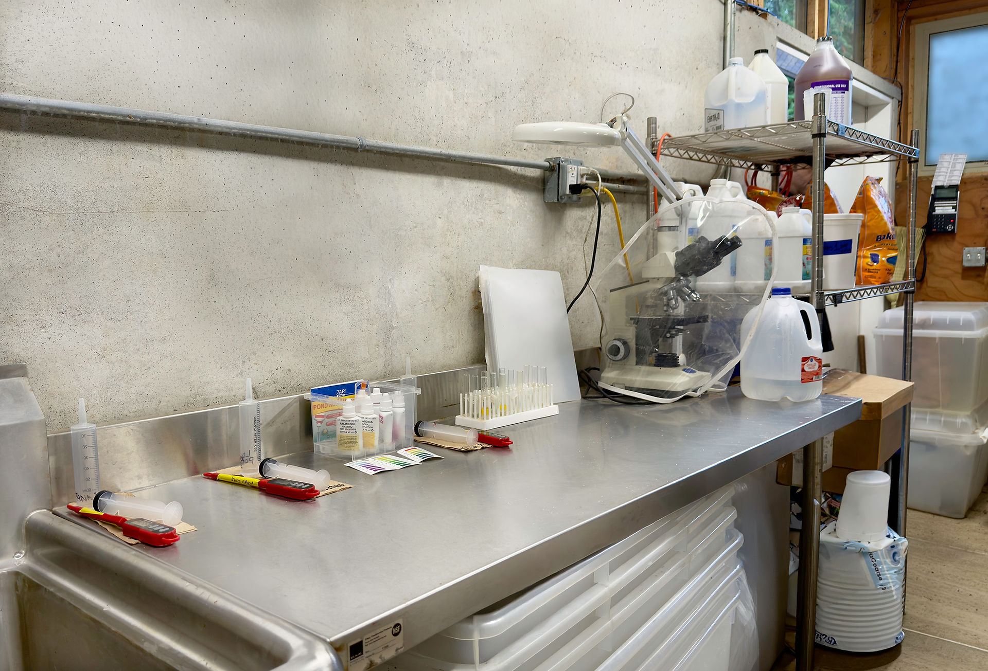 Cleanliness matters when testing koi water and Koi Fish health