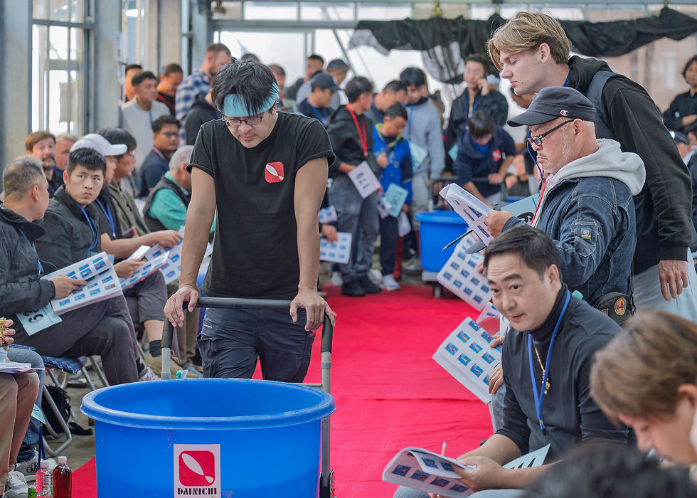 Bidders get a good look at the koi currently up for auction.
