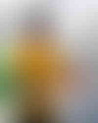 Koi Care is important at Ogata Koi Farm