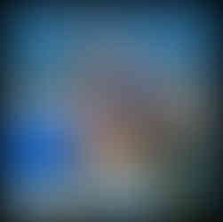 Maruchiku Koi Farm Website Link