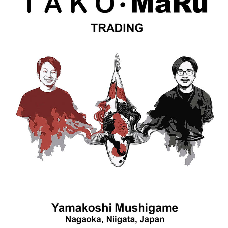 From Mushigame to the World: TAKO•Maru Trading and the Quiet Work of Koi Trust