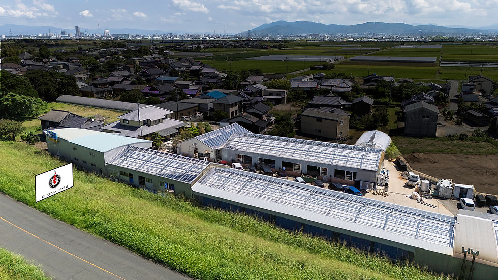 Ogata Koi Farm set among the town of Kurume, Fukuoka, Japan.