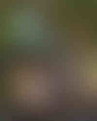 One of many pathways to walk at Mitaki-dera Temple