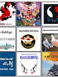 Koi Breeder Online Directory