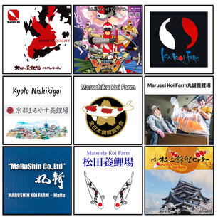 Koi Breeder Online Directory