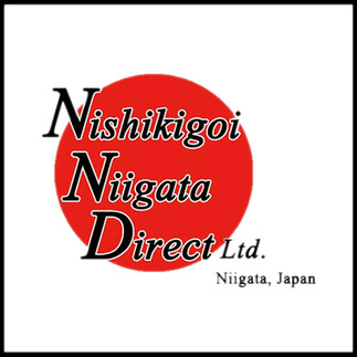 Nishikigoi Niigata Direct Koi Farm