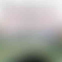 Tani Fish Farm website