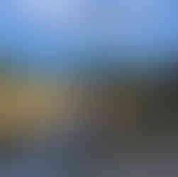 Maursen Kobayashi Koi Farm Website Link