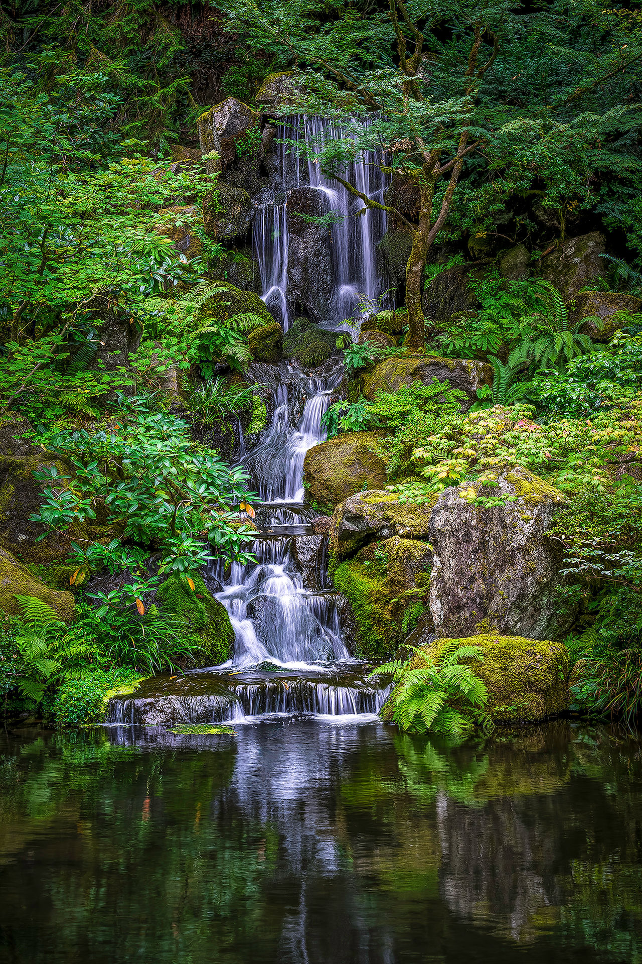 Heavenly Falls at the Portland Japanese Garden