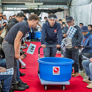 Koi are walked thru the bidders to get one last look before bidding at the Dainichi Harvest Auction