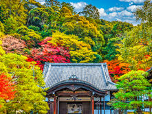 Fall Colors among the Nanzen ji Temple of Kyoto