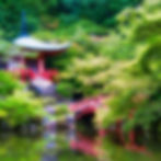 Daijo-In Temple Pond