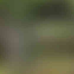 Hojo Garden Web Link