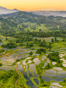 Terraced Rice Fields of Tokamachi