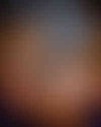 Dwarf Maple photo art at the Portland Japanese Garden