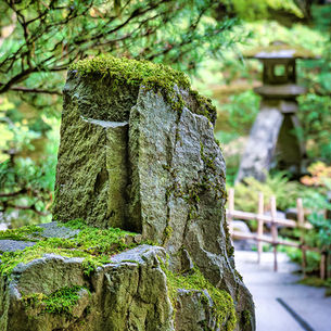 Moss covered stone at the Portland Japanese Garden