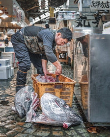 Fish Monger in the Old Tsukiji Inner Wholesale Market