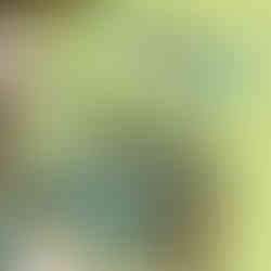 Art of The Yard Website