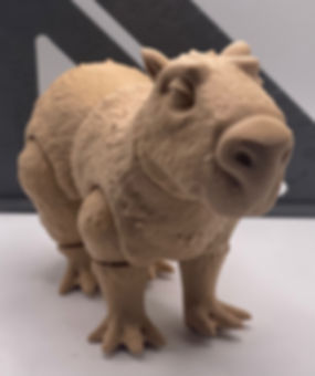 Capybara