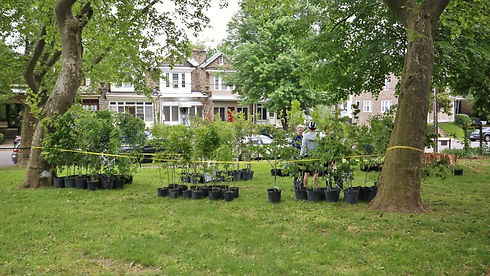 Fernhill Park Image 3.jpg