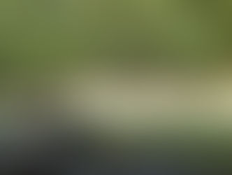 不會後悔的選擇，是因為有明白